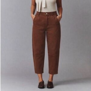 Everlane Utility Barrel Pant in Rosewood, 6